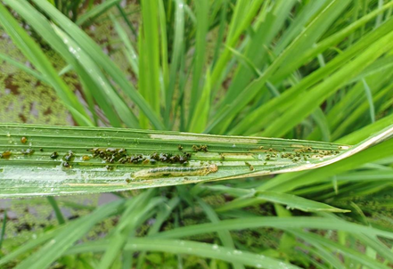 1689929845190766.png image.png