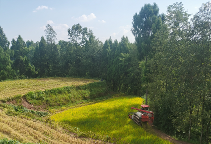 1691997816560174.png image.png