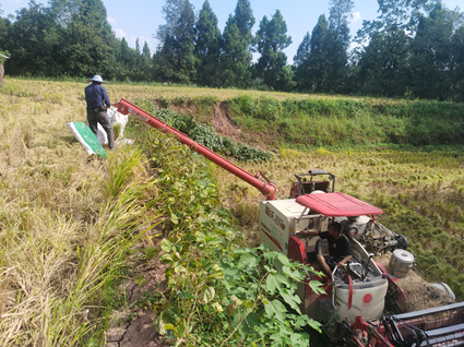 1691997844225870.png image.png