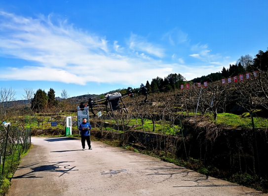 1696926428952644.png image.png