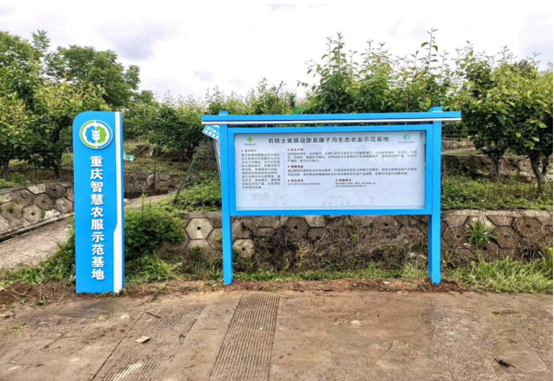 1696926447587932.png image.png