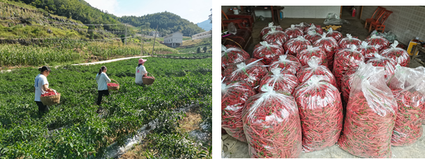 1696928362779374.png image.png