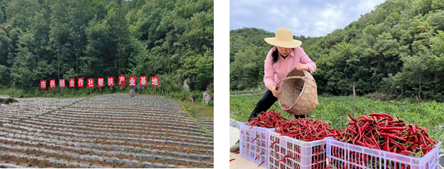 1696928377804579.png image.png