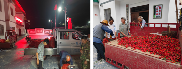 1696928390149939.png image.png