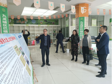 1701653631524911.png image.png